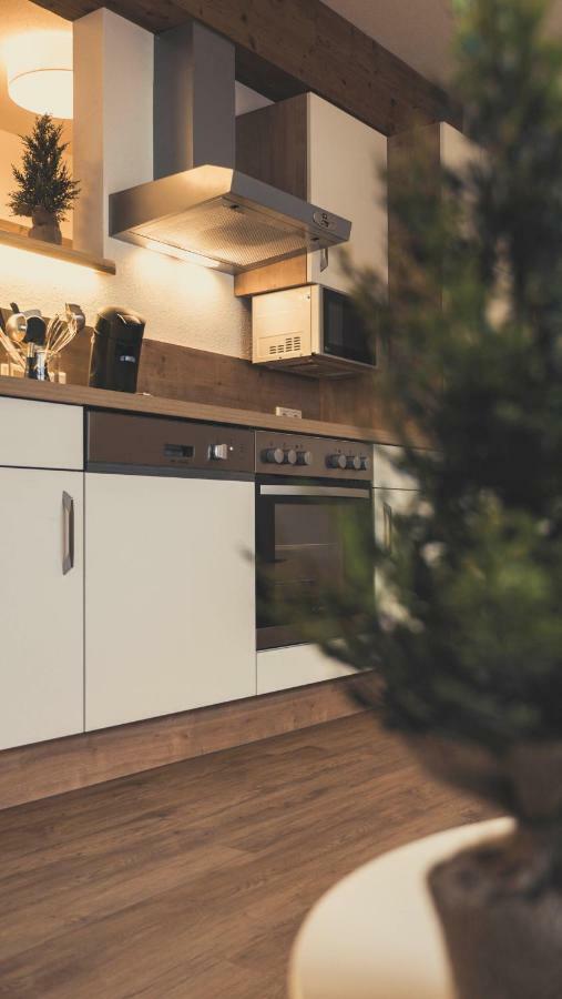 Haus Schlager "Dasappartement" Annaberg im Lammertal Zewnętrze zdjęcie
