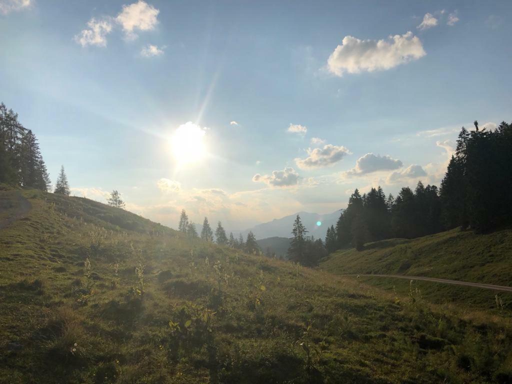 Haus Schlager "Dasappartement" Annaberg im Lammertal Zewnętrze zdjęcie