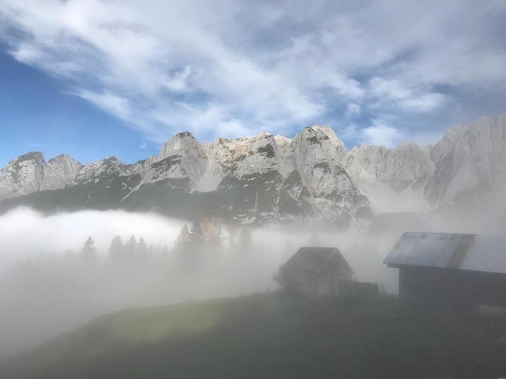 Haus Schlager "Dasappartement" Annaberg im Lammertal Zewnętrze zdjęcie